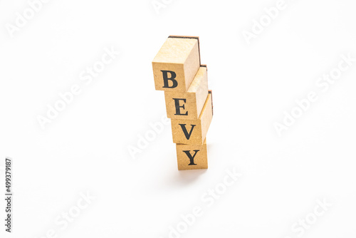 Quadro em tela 英単語　ブロック　BEVY