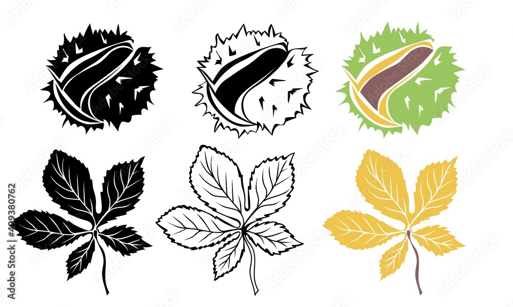 Fototapeta premium Сhestnuts, leaves and peels outline, in silhouette and colorful isolated on white background. Сhestnut autumn design. Vector illustration.