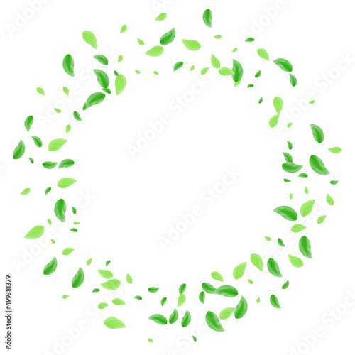 Light Green Leaf Background White Vector. Leaves Food Design. Healthy Texture. Greenish Sprout Card. Greenery Style.