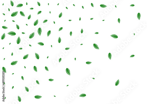 Light Green Greenery Background White Vector. Plant Symbol Texture. Decorative Frame. Greenish Flavor Illustration. Leaf Shape.