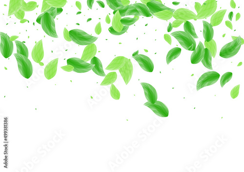Greenish Vegetation Background White Vector. Leaf Healthy Design. Flora Texture. Green Agriculture Illustration. Plant Rustic.