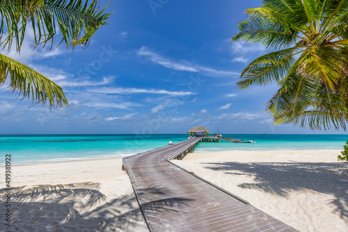 Beautiful Maldives island beach. Palm trees, sea sand sky, water villa long wooden pier pathway. Tropical vacation and summer holiday concept Luxury travel landscape, amazing tourism lifestyle scenic