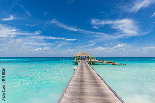 Wallpaper Mural Beautiful Maldives island beach. Palm trees, sea sand sky, water villa long wooden pier pathway. Tropical vacation and summer holiday concept Luxury travel landscape, amazing tourism lifestyle scenic Torontodigital.ca
