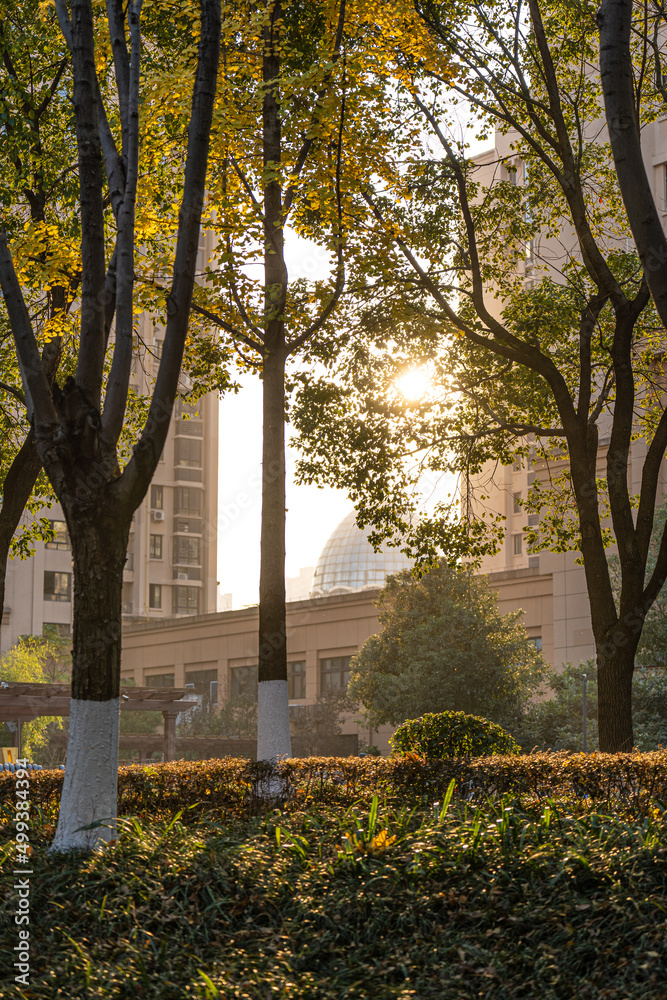 Naklejka premium Sunset in the Nantang park