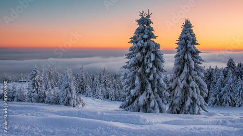 sunrise in the forest, sunrise, mountain, winter, snow, landskape, krajobraz, forest, snow, zachódsłońca © Karolina