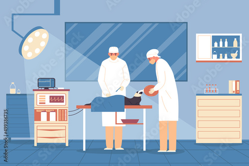 Veterinary Flat Color Background