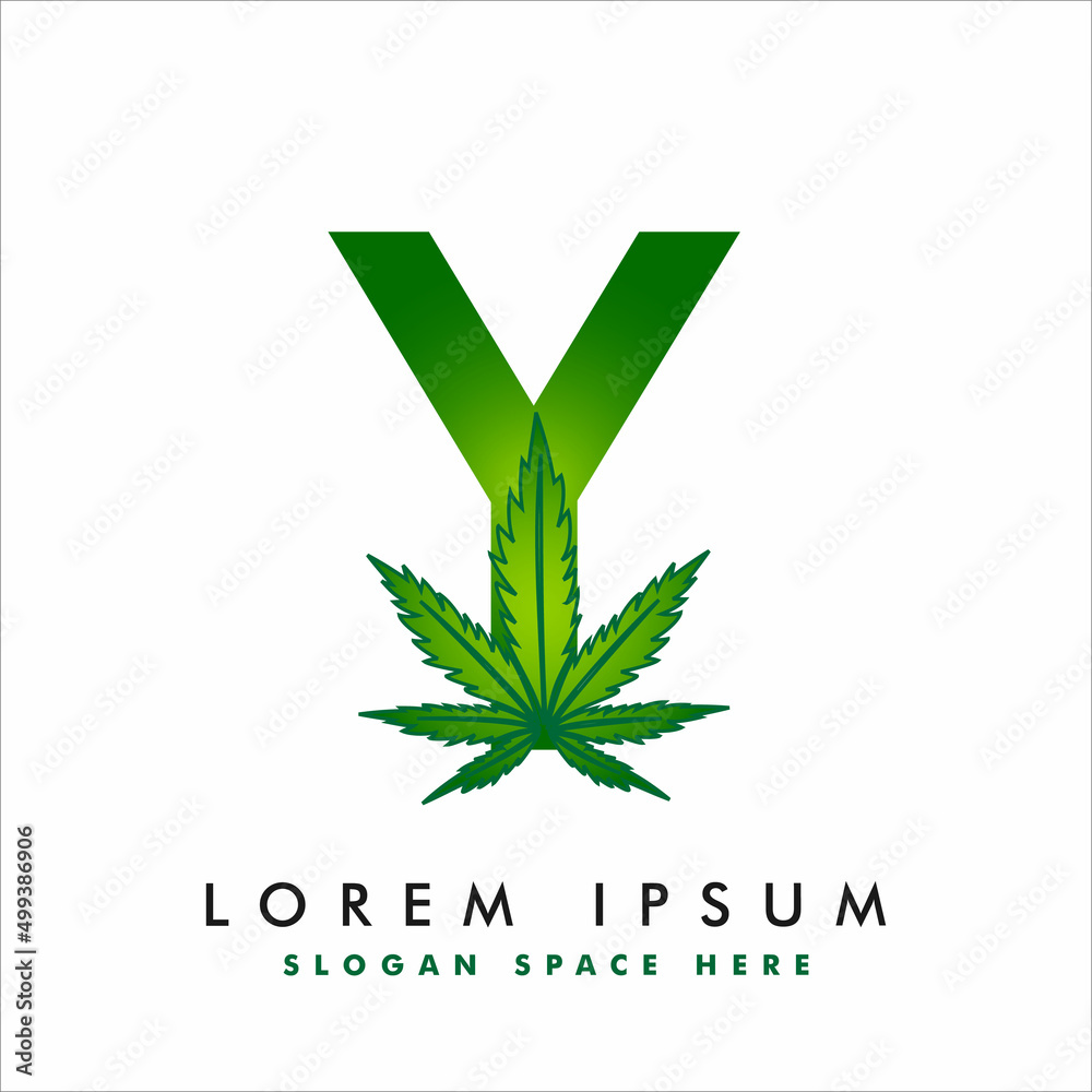 Letter Y with cannabis leaf logo concept. Weed, hemp, marijuana logo ...