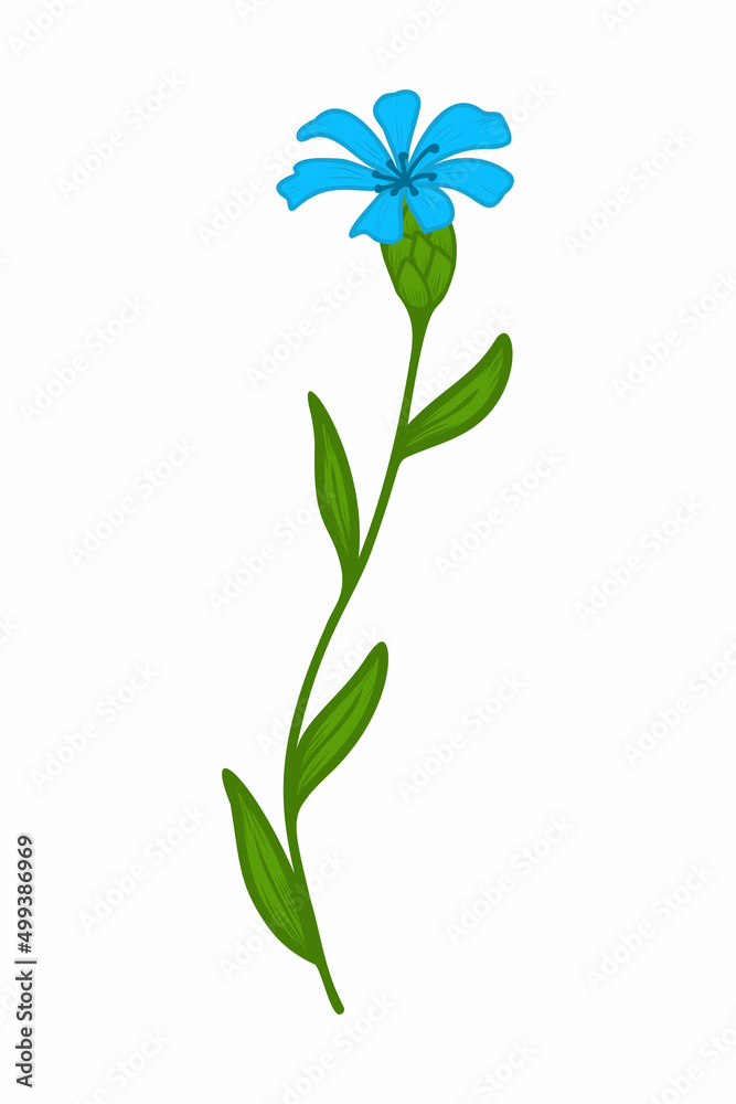 Blue cornflower, doodle vector illustration. Twig of wild cornflower. Clipart. Flowers are drawn by hand. Design for postcards, compositions and stickers.