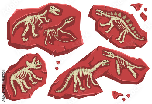 Dinosaur Skeleton Set