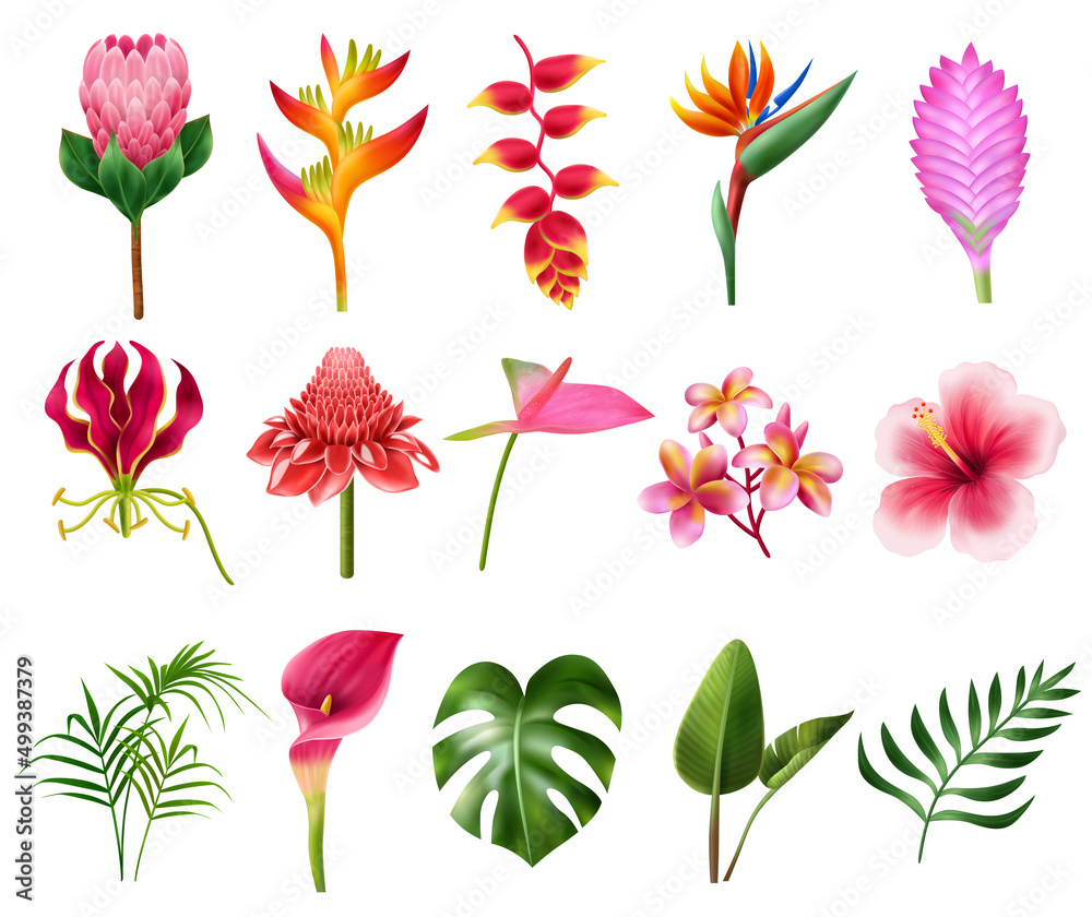 Exotic Flowers Realistic Set