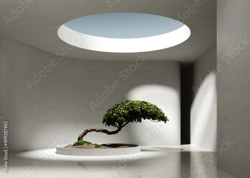 3d render of a white empty large space with a bonsai podium on a concrete floor and a round central hole in the ceiling