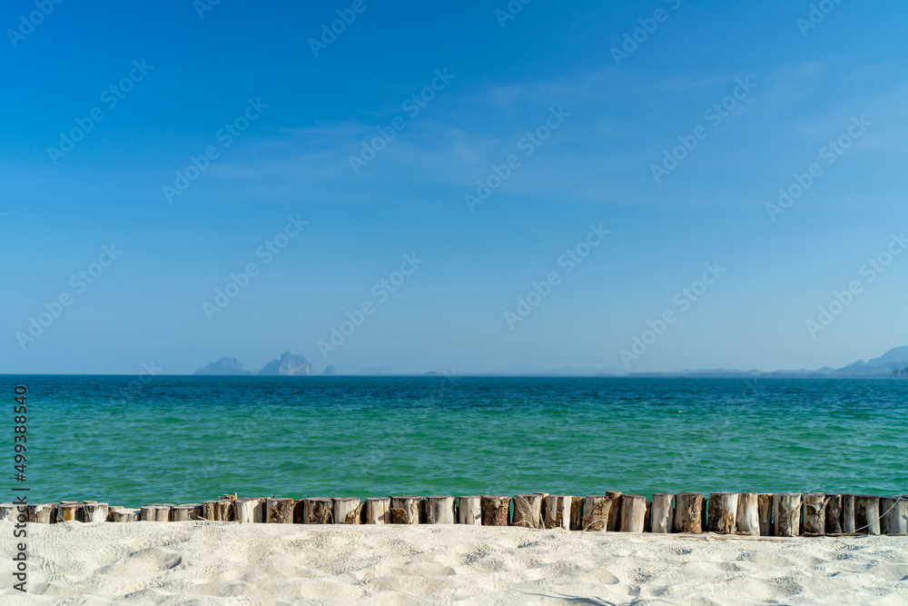 White sand with tree fence with sea and blue sky background White sand with tree fence with sea and blue sky background