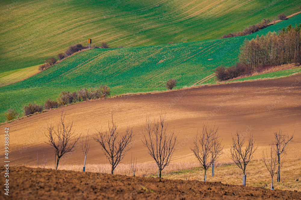 Fototapeta premium Moravské vlnění, landsape, waves, spring