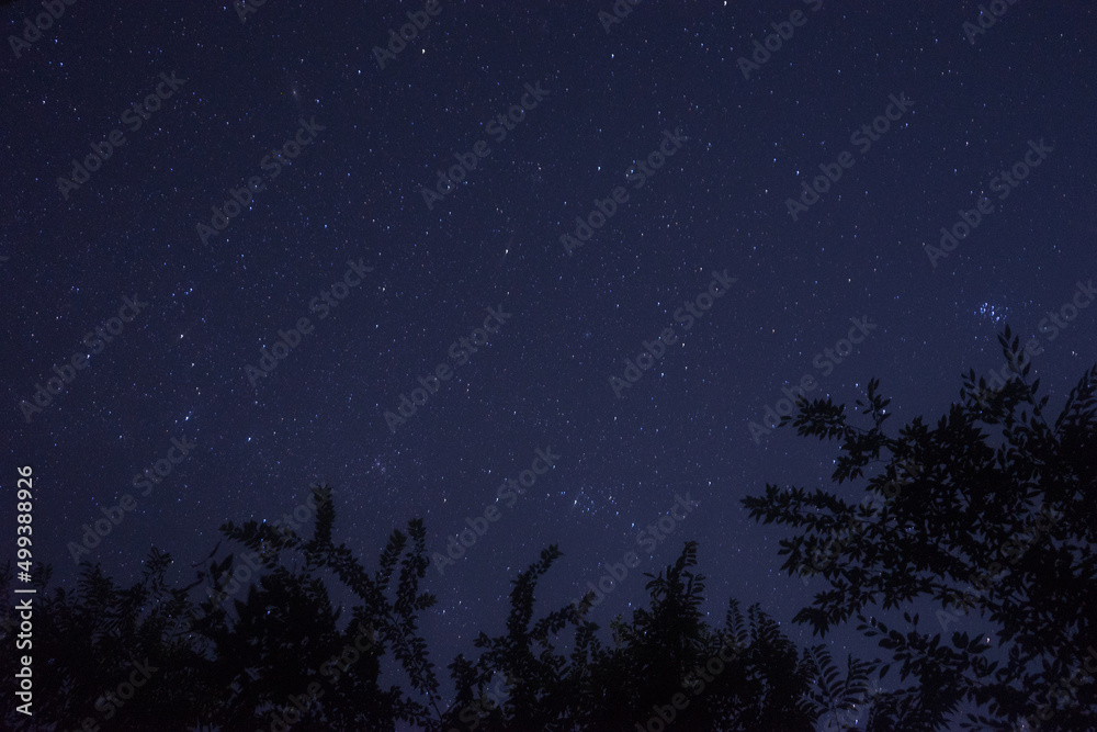 Naklejka premium Starry sky seen from the forest