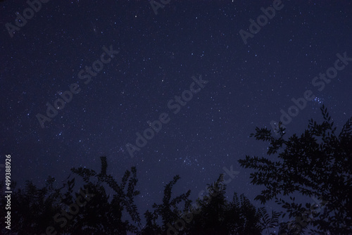 Starry sky seen from the forest
