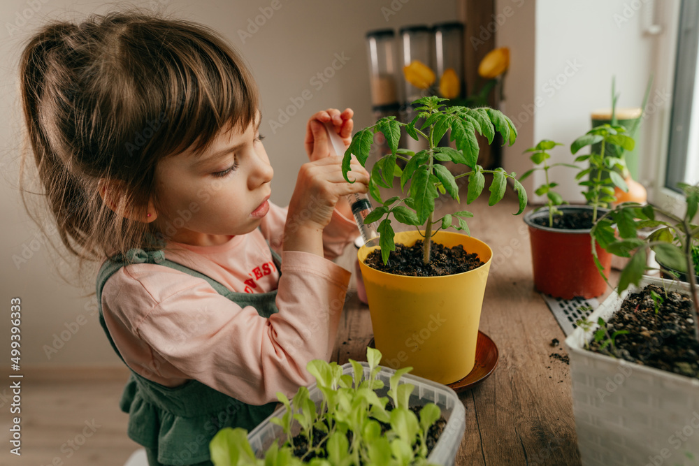 Home gardening with kids on the kitchen windowsill Home gardening with kids on the kitchen windowsill