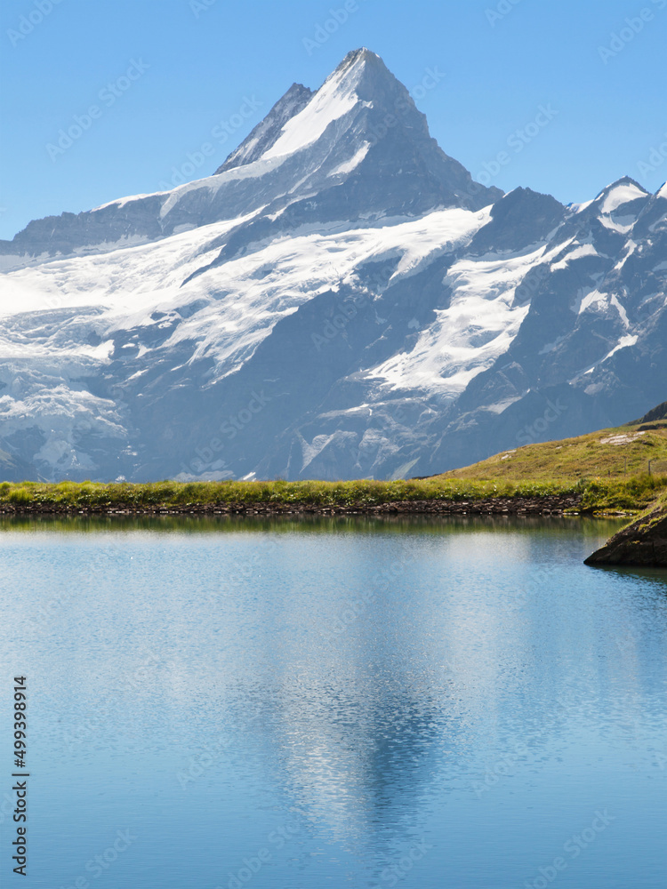 Schreckhorn reflected, Swiss Alps