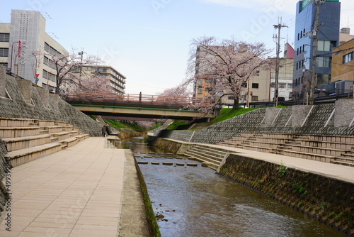 日本 奈良県 佐保川 桜並木