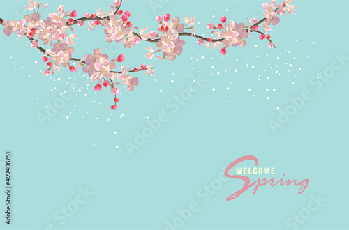 Spring blossom abstract banner