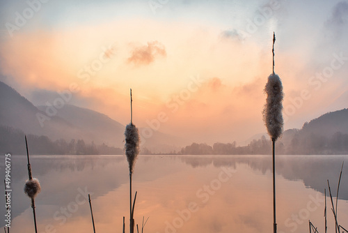 sunrise over the river