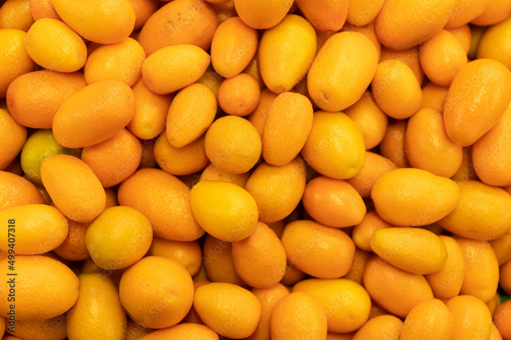kumquat fruit. Fresh organic raw yellow kumquat citrus fruit high angle view. 