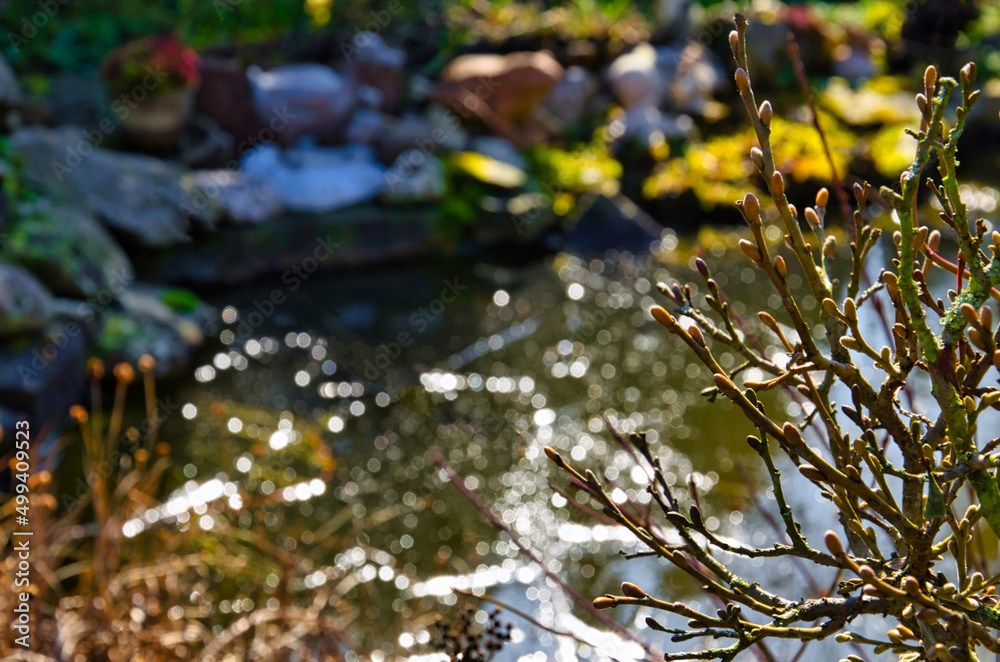 Naklejka premium springtime at the pond