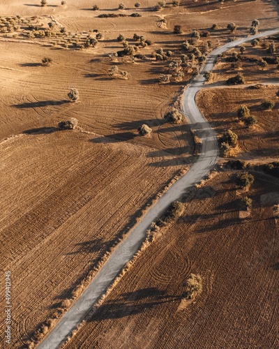 Minimal aerial view of a narrow road passing through dry fields during golden hour.