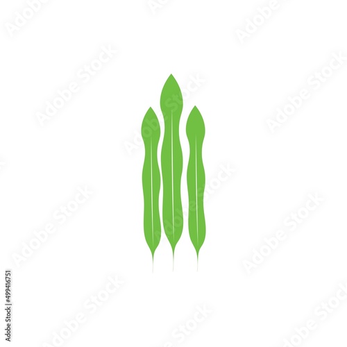Spirulina icon template vector