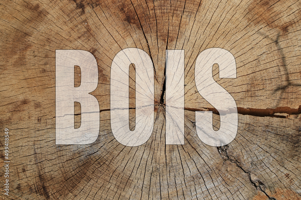 Le bois