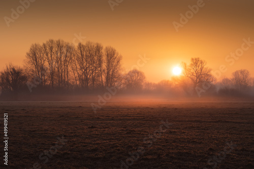 Złoty wschód słońca nad łąką