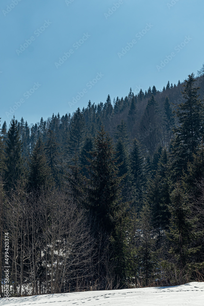 Nature of Western Ukraine. Mountains, rivers and forests. Shelter for war refugees. Departure from the occupied territories. War in Ukraine. Nature of Western Ukraine. Mountains, rivers and forests. Shelter for war refugees. Departure from the occupied territories. War in Ukraine.