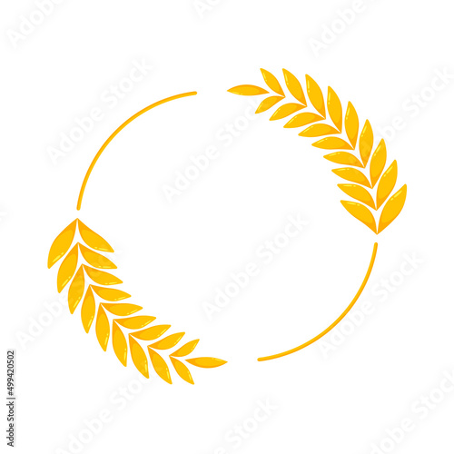Ears of wheat. Whole grains for making bread.
