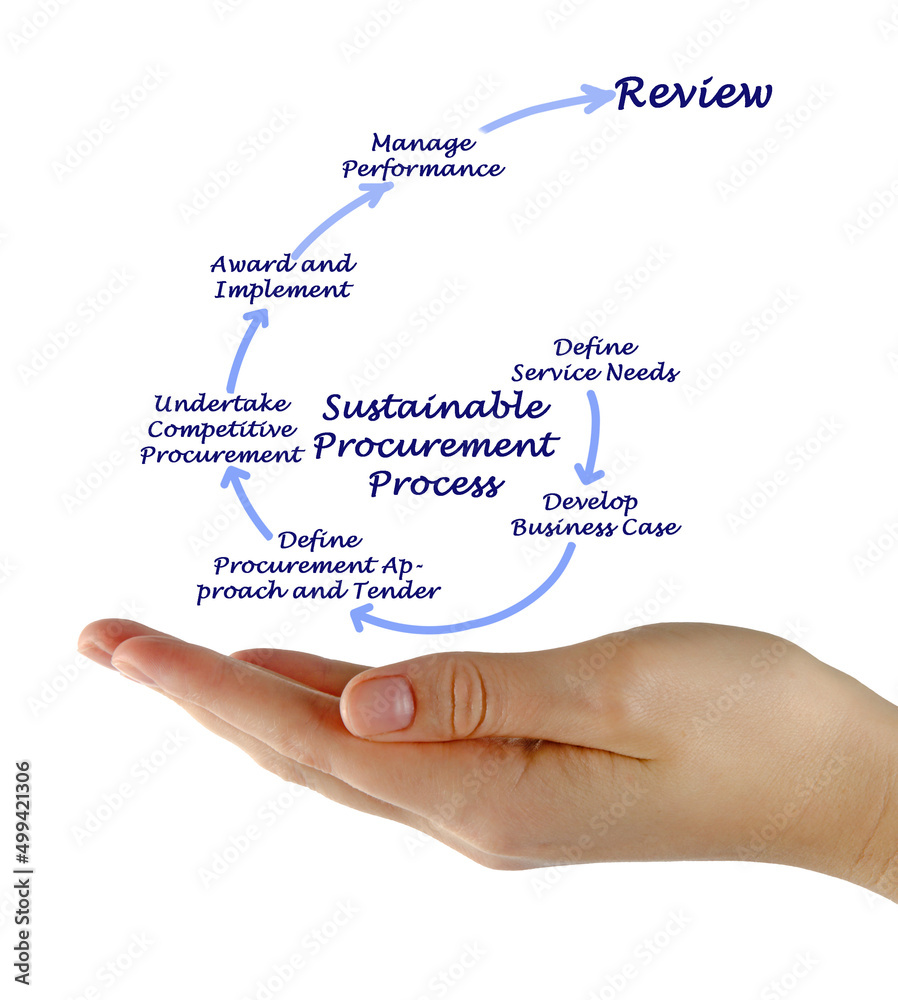 Woman Presenting Sustainable Procurement Process. Woman Presenting Sustainable Procurement Process.
