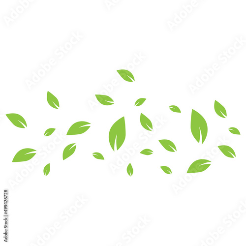 Green leaf logo. Garden, plants and nature vector design. Concept illustration vector template