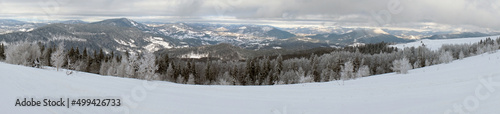 Winter landscapes of snow-covered coniferous forests in the Carpathian mountains. 
