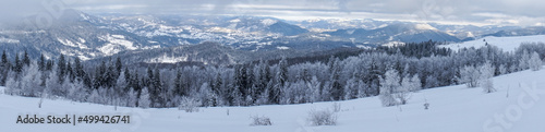Winter Carpathian forest on a sunny day.  © ReitNN