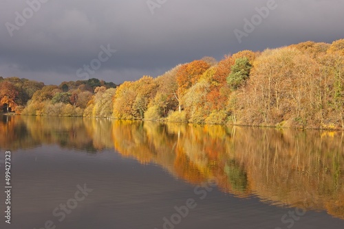 Autumn trees with reflection in lake