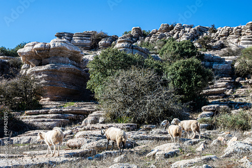 The Torcal de Antequera Natural Park contains one of the most impressive examples of karst landscape in Europe. Andalusia, Spain