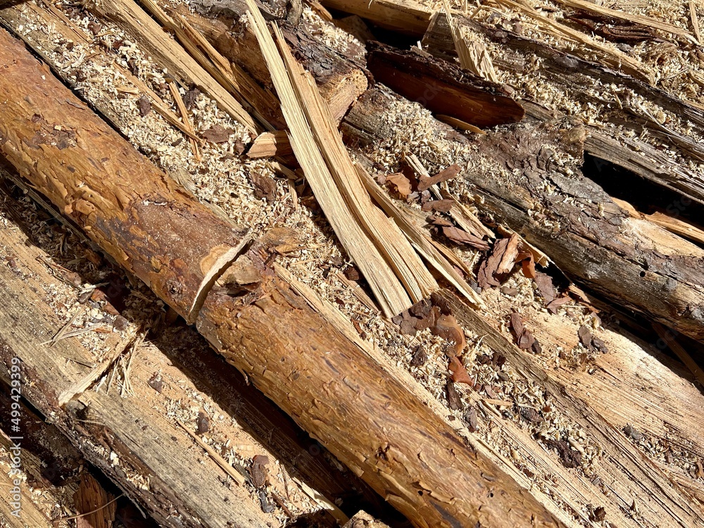 Nahaufnahme von Holz mit Holzspäne Nahaufnahme von Holz mit Holzspäne