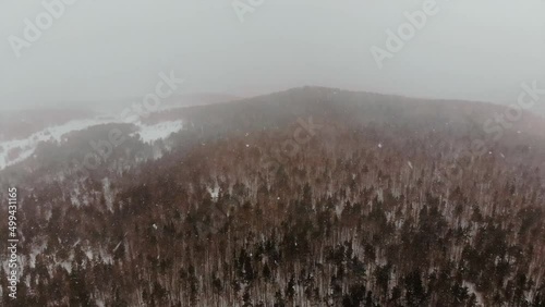 drone flying over snowy beech forest in winter while snowing