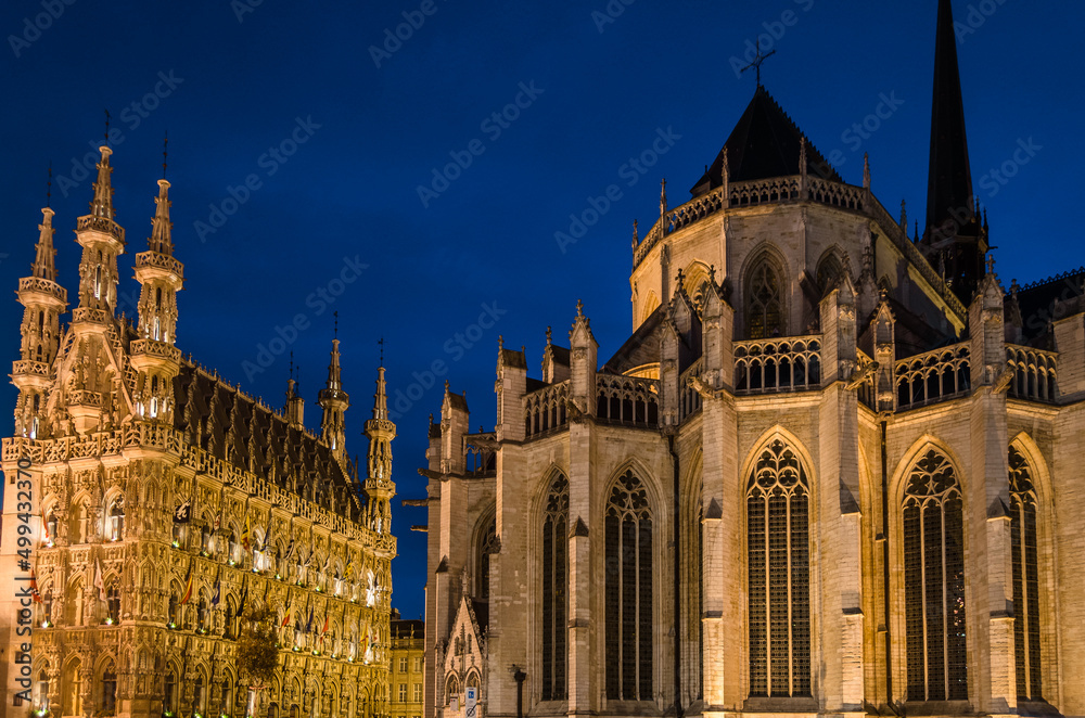 Fototapeta premium Leuven night cityscape, Belgium