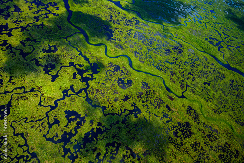Aerial view of green wetlands and flowing water in Everglades National Park