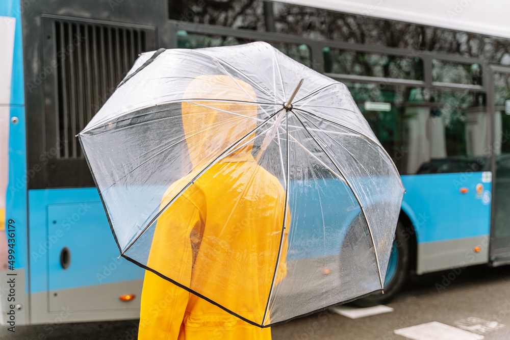 Close-up of unrecognizable woman with umbrella waiting for the bus. Horizontal rear view of woman at bus stop with transparent umbrella outdoors. Public transport and weather concept