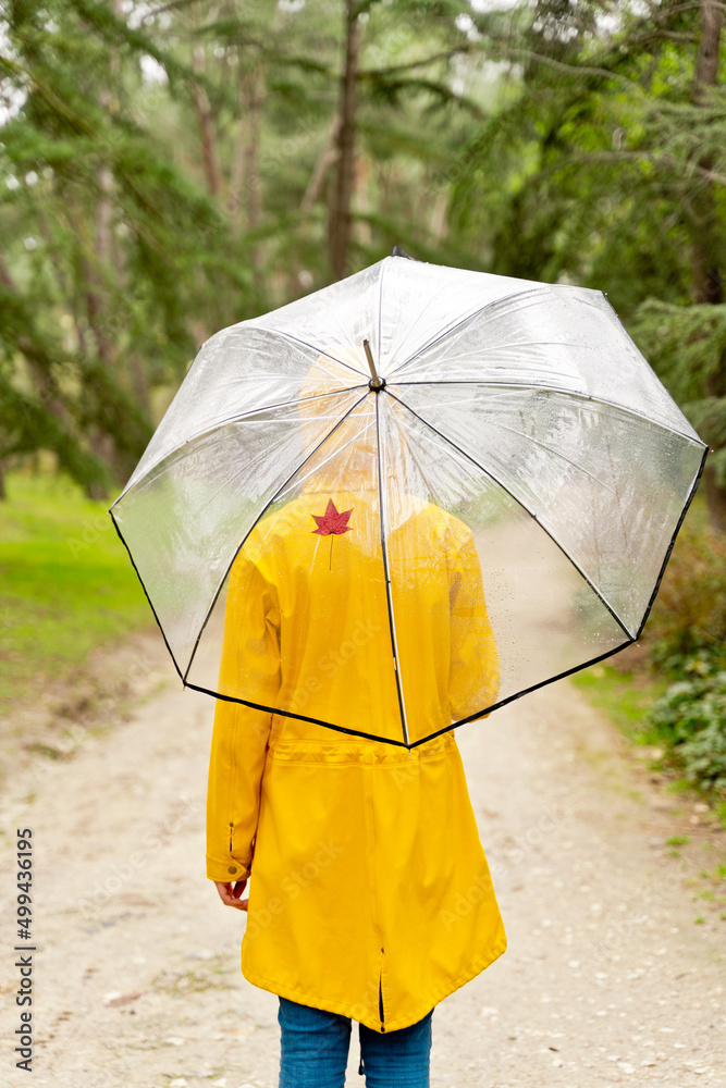 Rear view of unrecognizable woman walking with umbrella in park. Vertical view of autumn fallen leaf in umbrella and woman wearing a yellow raincoat outdoors. People and seasonal change