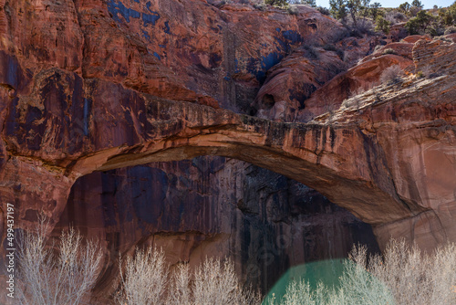 United States, Utah, Escalante, Escalante Natural Bridge in Grand Staircase Escalante National Monument