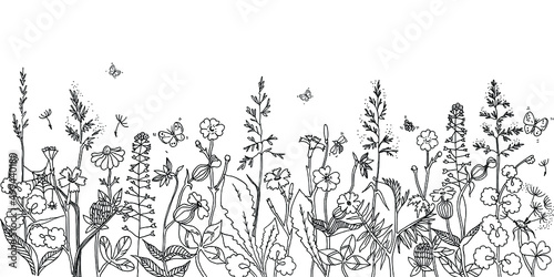 Wonderful Flowers and Leaves in meadow. Grass  plants  flowers  herbs lines on white background. Hand drawn sketch floral and insects. Field in spring and summer. 