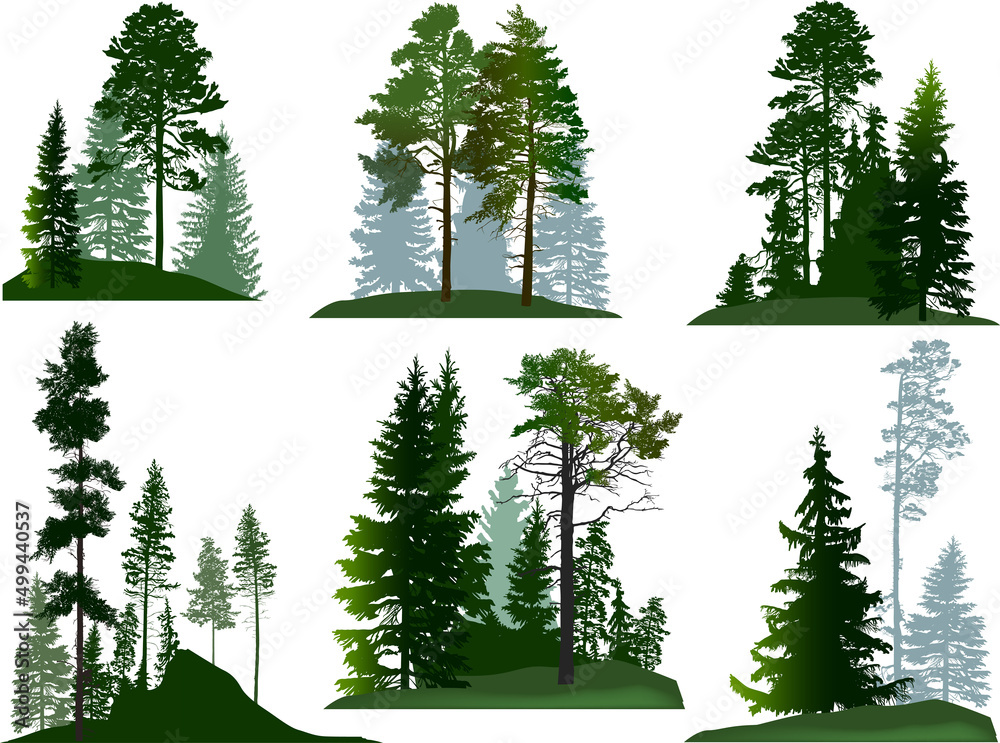 green trees six groups set isolated on white - obrazy, fototapety, plakaty 