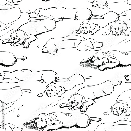 Seamless line pattern with labrador puppy sketch