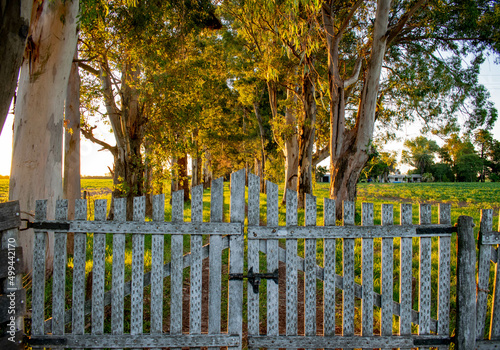 Fototapeta Naklejka Na Ścianę i Meble -  Wooden fence