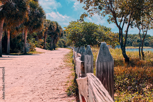 path in the shore